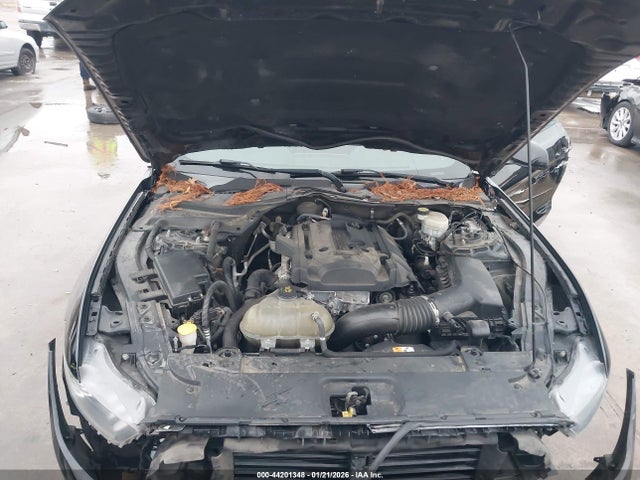 Ford Mustang Ecoboost 2017 1FA6P8TH1H5306179 Image 10