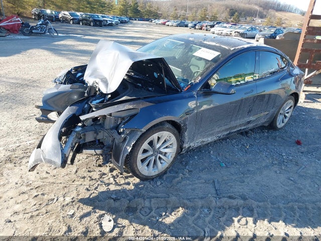 2023 TESLA MODEL 3 5YJ3E1EB9PF594422 Photo 1
