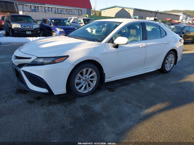 4T1G11AK7MU565258 Toyota CAMRY SE