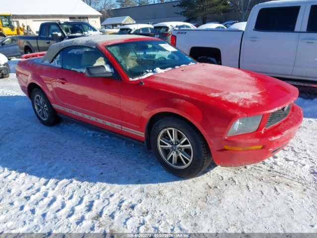 2005 FORD MUSTANG 1ZVFT84N955215700
