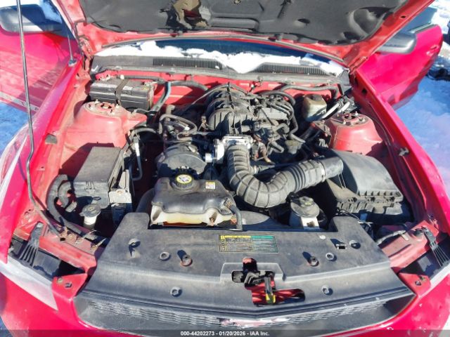 2005 FORD MUSTANG 1ZVFT84N955215700 Photo 9