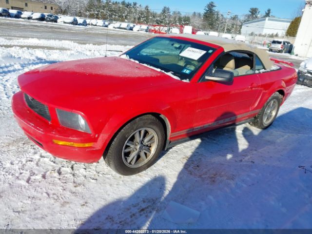 2005 FORD MUSTANG 1ZVFT84N955215700 Photo 1