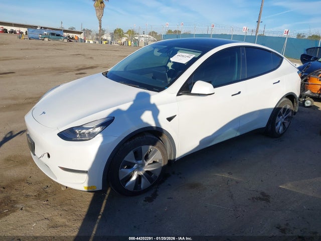 5YJYGDEEXLF032048 Tesla Model Y Long Range Dual Motor All-wheel Drive