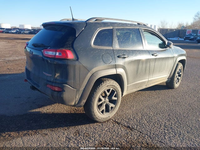1C4PJMBS2GW305282 Jeep Cherokee Trailhawk