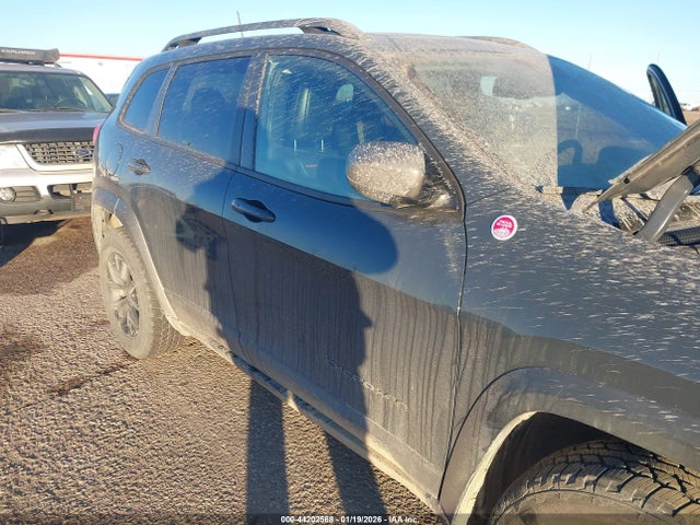 1C4PJMBS2GW305282 Jeep Cherokee Trailhawk
