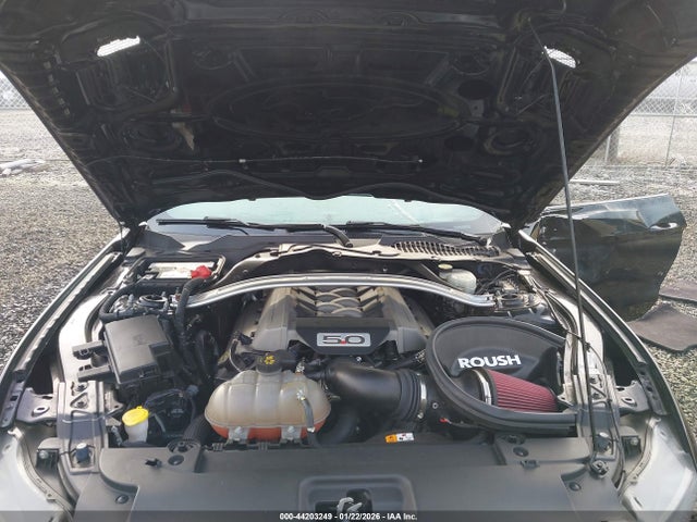 1FA6P8CFXH5231125 Ford MUSTANG GT