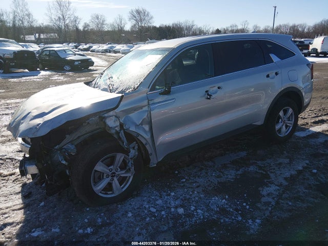 Aukcja sprzedaży 2026 Kia Sorento Lx, vin: 5XYRG4JC4TG425447, numer aukcji: 44203376