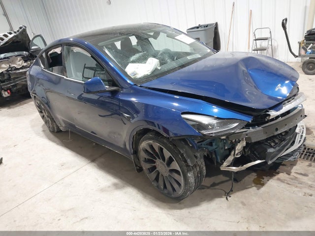 2025 TESLA MODEL Y 7SAYGDEF8SA343758