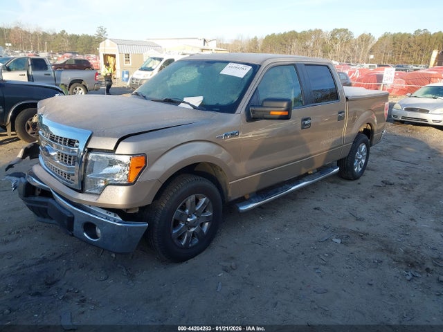 Ford F-150 Xlt 2014 1FTFW1CF2EFB73537 Image 2