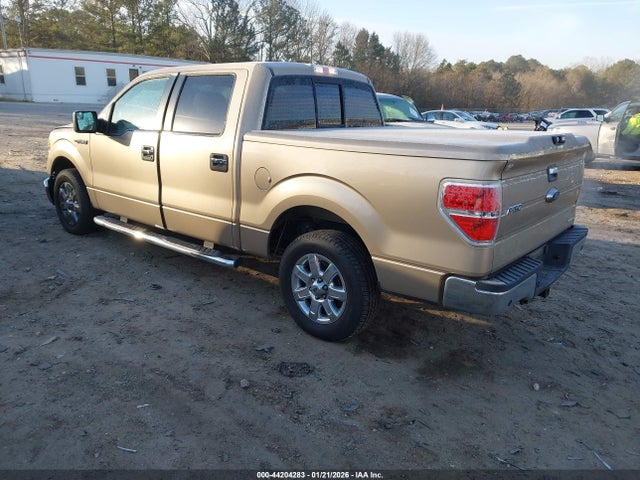 Ford F-150 Xlt 2014 1FTFW1CF2EFB73537 Image 3