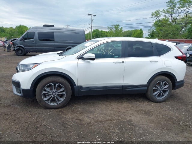 Продажа на аукционе авто 2022 Honda Cr-v Awd Ex-l, vin: NJ4018E, номер лота: 44204342