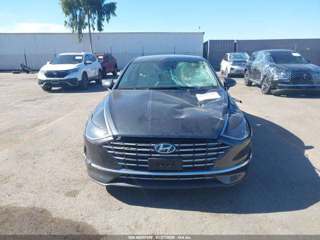 KMHL24JJ8PA057116 Hyundai Sonata Hybrid Blue