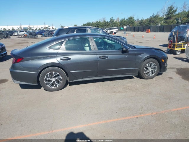 KMHL24JJ8PA057116 Hyundai Sonata Hybrid Blue