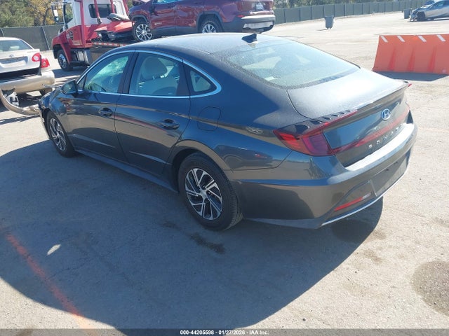 KMHL24JJ8PA057116 Hyundai Sonata Hybrid Blue