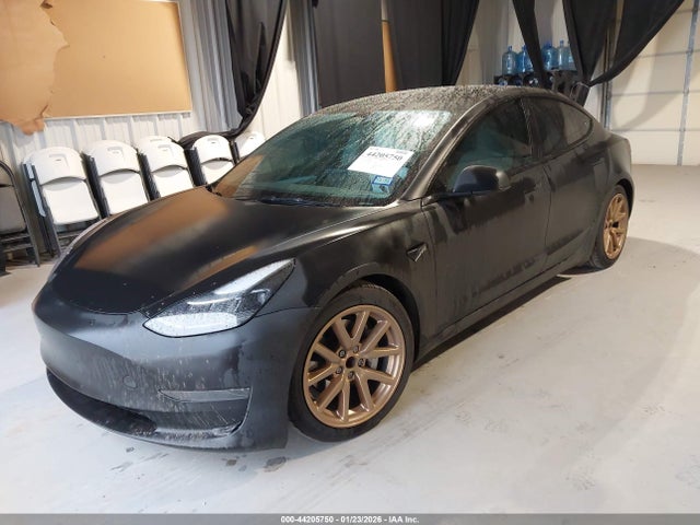 2023 TESLA MODEL 3 5YJ3E1EA9PF384023 Photo 1