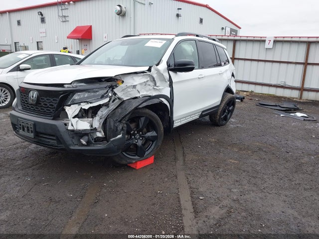 5FNYF8H02LB020244 Honda Passport Awd Elite