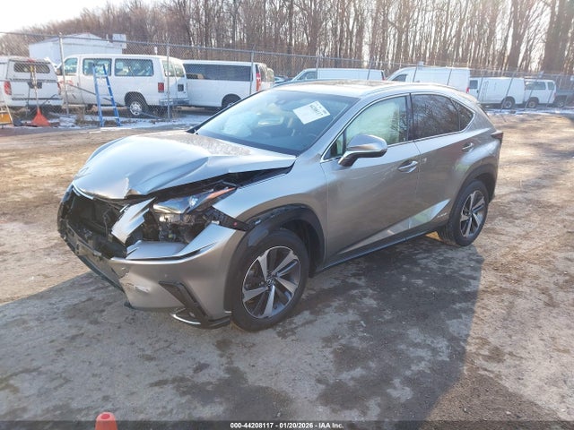 Продажа на аукционе авто 2018 Lexus Nx 300h, vin: JTJBJRBZ1J2081695, номер лота: 44208117