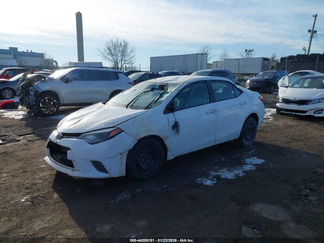 2T1BURHE4GC498320 Toyota COROLLA LE
