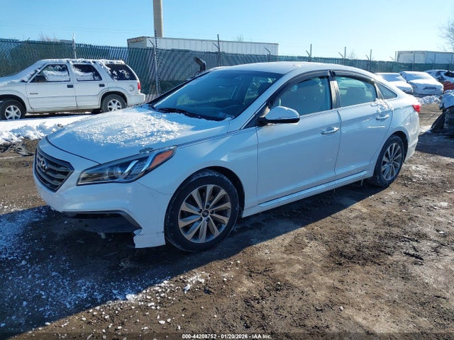 Hyundai Sonata Sport 2016 5NPE34AF7GH315513 Image 2