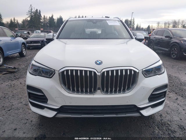 5UXTA6C06P9N46394 BMW X5 Phev Xdrive45e
