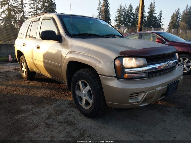 2006 CHEVROLET TRAILBLAZER 1GNDT13S062261984