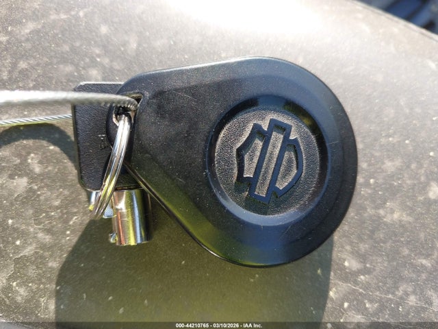 2019 HARLEY-DAVIDSON FLHXS 1HD1KRP13KB613396 Photo 10