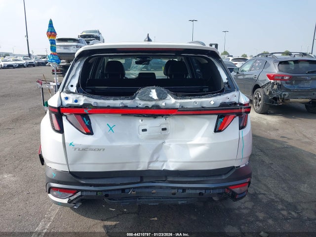 Hyundai Tucson Limited 2025 3KMJE3DE3SE017069 Image 17