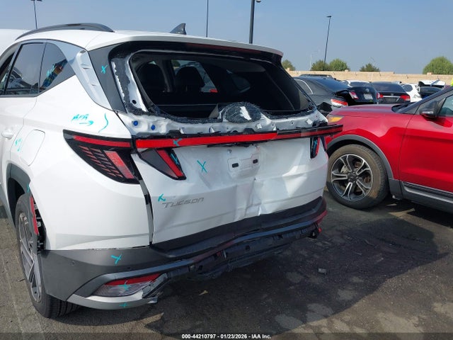 Hyundai Tucson Limited 2025 3KMJE3DE3SE017069 Image 6
