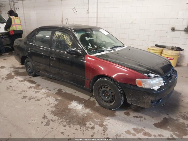 2002 TOYOTA COROLLA 2T1BR12E22C556591