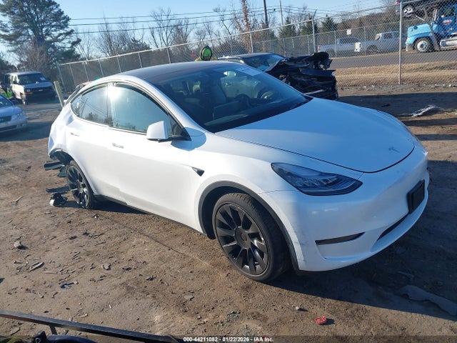 2023 TESLA MODEL Y 7SAYGDEE2PA031711 Photo 0