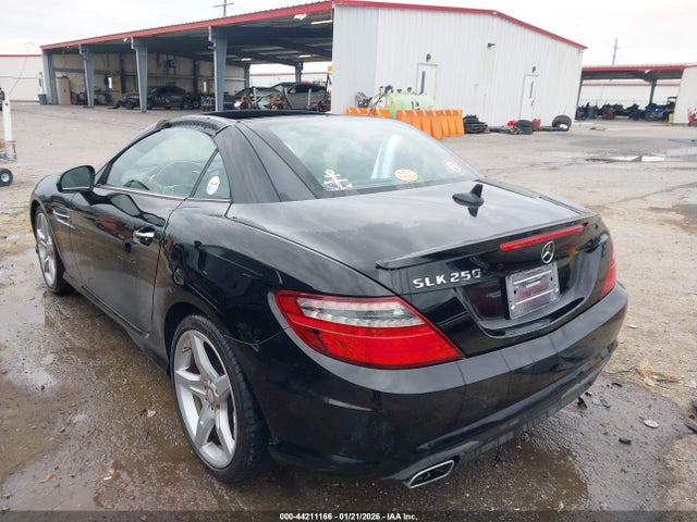 2014 MERCEDES-BENZ SLK 250 WDDPK4HA4EF085044 Photo 2