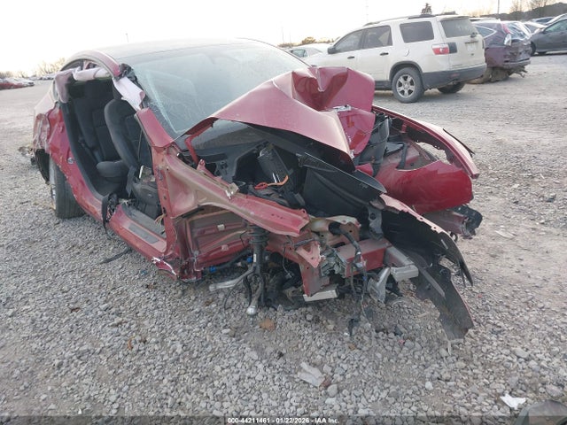 2024 TESLA MODEL Y 7SAYGDEE1RA288751 Photo 5