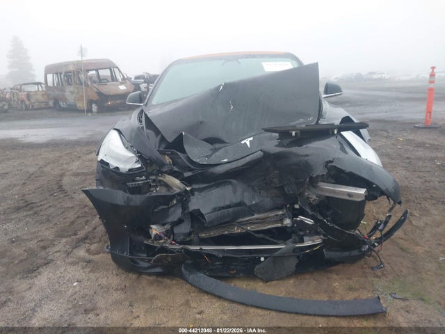 2019 TESLA MODEL 3 5YJ3E1EA1KF305596 Photo 5