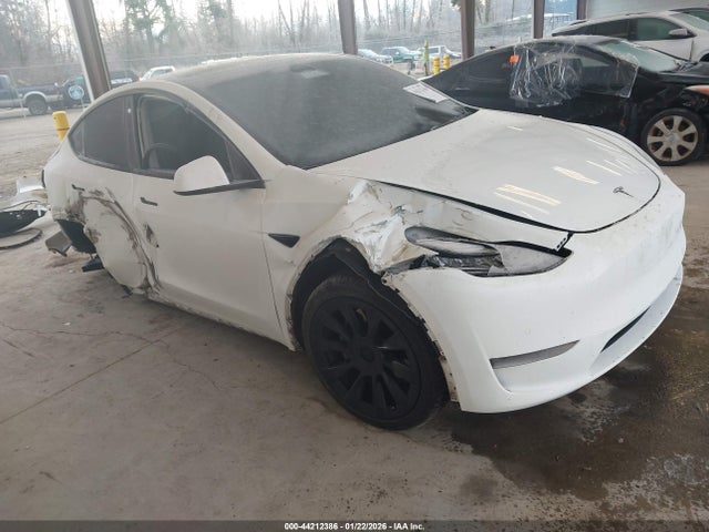 2020 TESLA MODEL Y 5YJYGDEE0LF008924