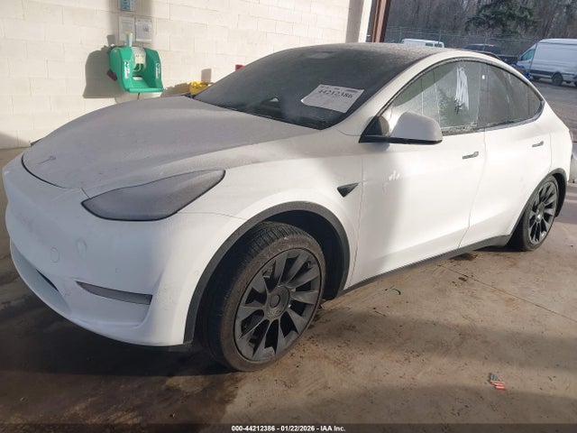 2020 TESLA MODEL Y 5YJYGDEE0LF008924 Photo 1