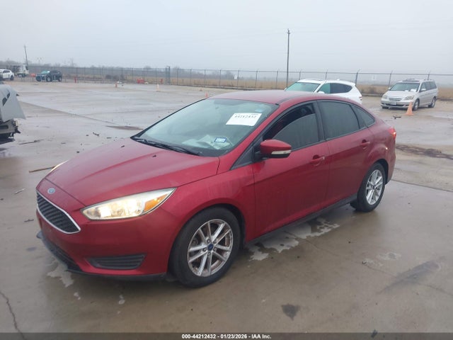 1FADP3F2XFL255033 Ford FOCUS SE