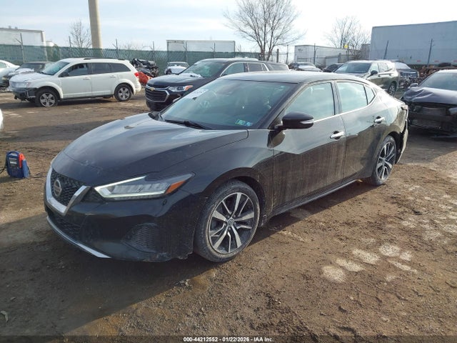 1N4AA6CV5MC502752 Nissan Maxima Sv Xtronic Cvt