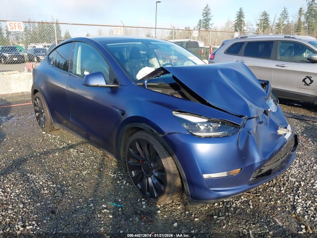 2023 TESLA MODEL Y 7SAYGDEFXPF816666 Photo 0