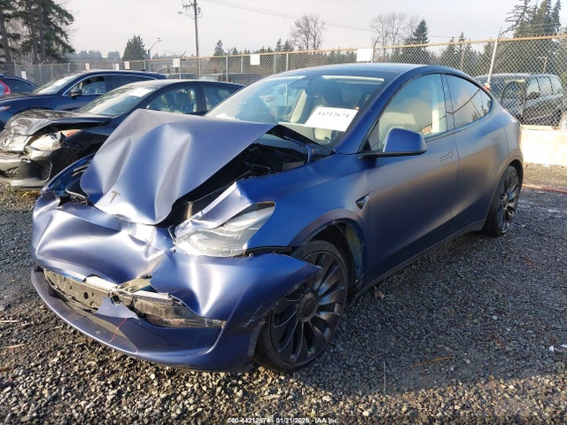 2023 TESLA MODEL Y 7SAYGDEFXPF816666 Photo 1