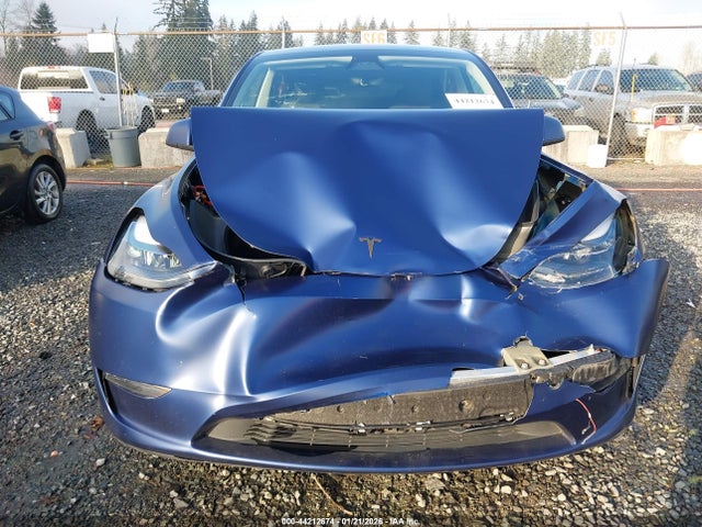 2023 TESLA MODEL Y 7SAYGDEFXPF816666 Photo 5