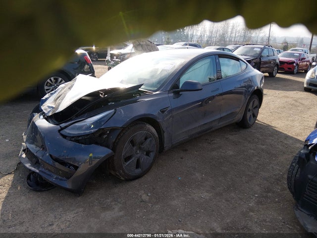 2023 TESLA MODEL 3 5YJ3E1EA8PF459861 Photo 1