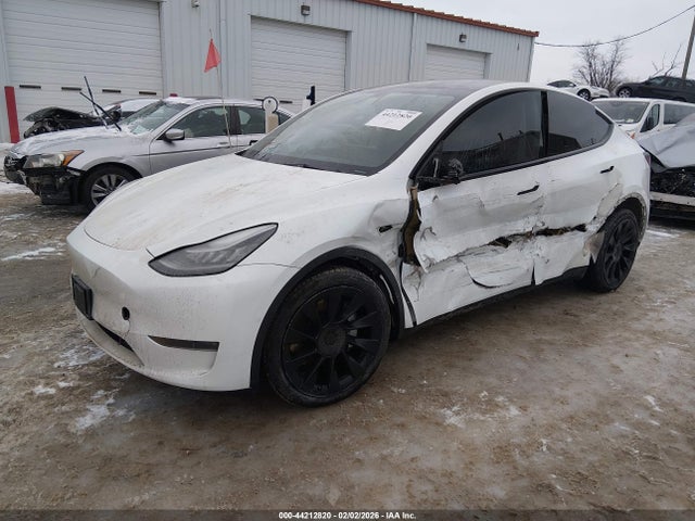 2021 TESLA MODEL Y 5YJYGDEE4MF092621 Photo 1