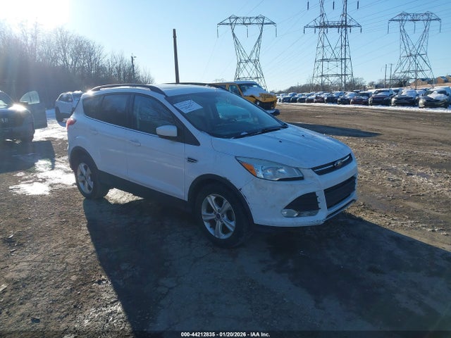 Ford ESCAPE SE 2014 1FMCU0GX6EUC89451 Image 1