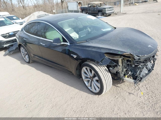 2019 TESLA MODEL 3 5YJ3E1EB3KF391356 Photo 0