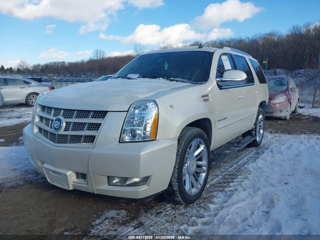 2012 CADILLAC ESCALADE 1GYS4CEF4CR268460 Photo 1