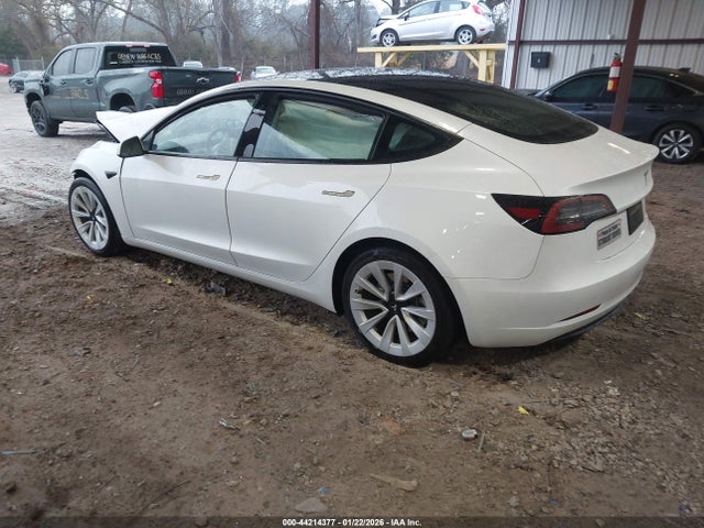 2023 TESLA MODEL 3 5YJ3E1EA8PF511263 Photo 2