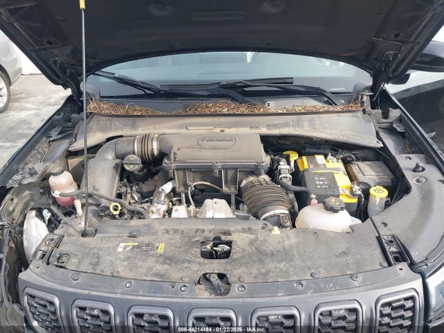 Jeep Compass Trailhawk 4x4 2024 3C4NJDDN0RT137312 Image 10