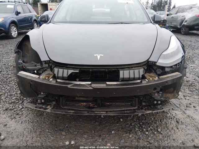 2023 TESLA MODEL 3 5YJ3E1EB4PF711789 Photo 5
