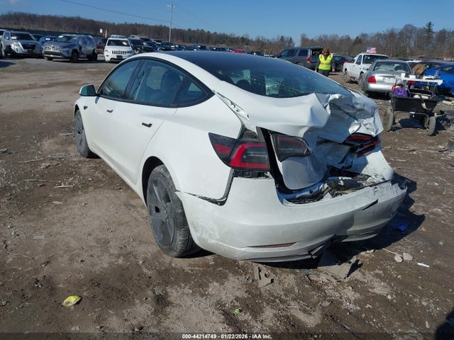 2023 TESLA MODEL 3 5YJ3E1EA5PF570979 Photo 2