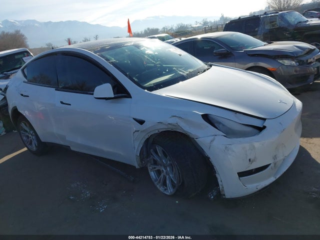 2023 TESLA MODEL Y 7SAYGDEE8PF588688 Photo 0
